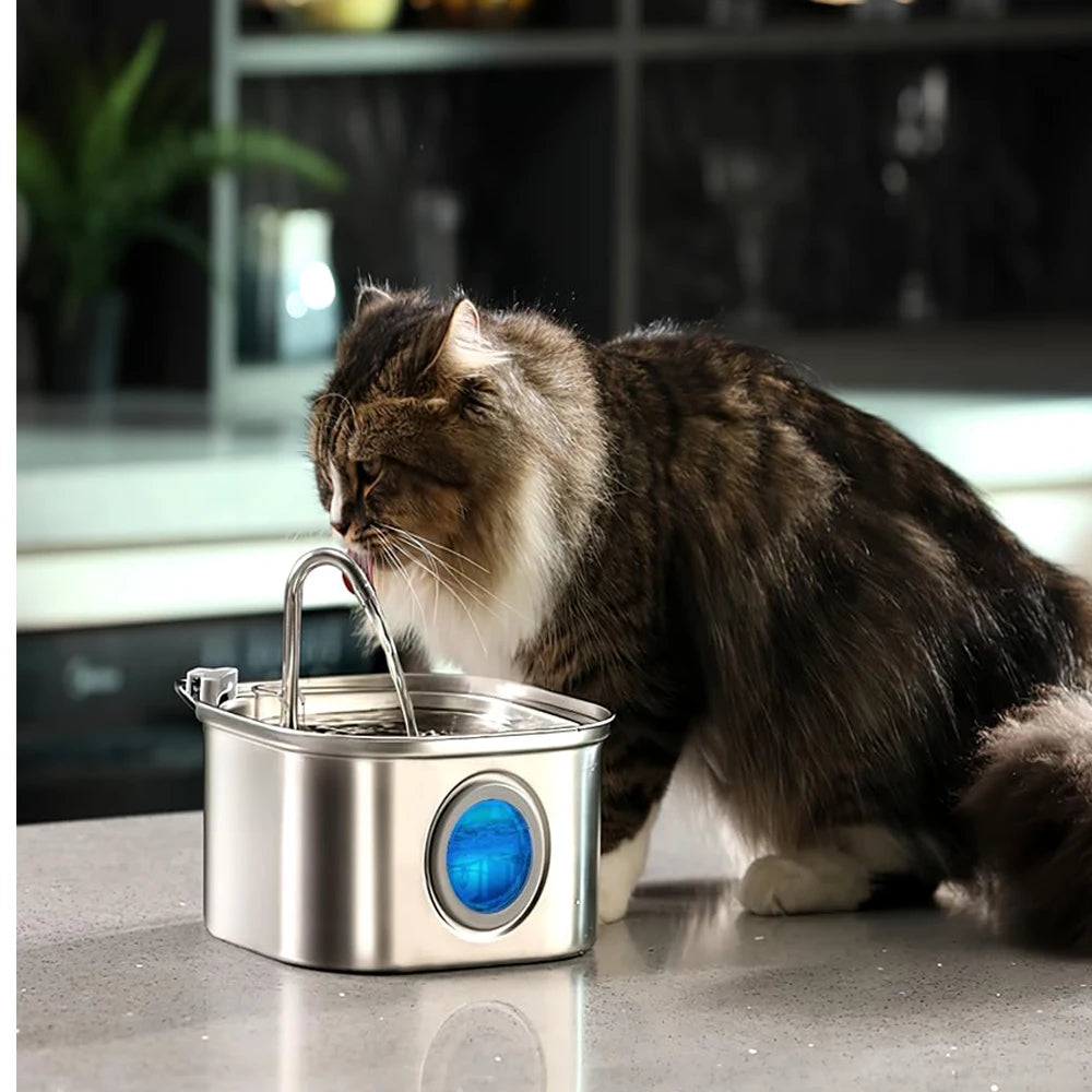 ZYFeeder 2.2L Automatic Cat Water Fountain Square Stainless Steel Pet Water Feeder Dog Water Fountain with window（No 5V 1A Plug）