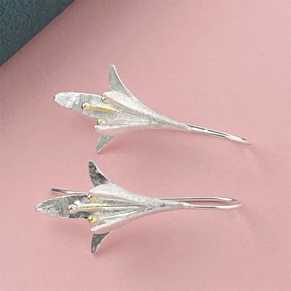 925 Silver Heart Shape Earrings Women Exquisite Student Jewelry Accessories